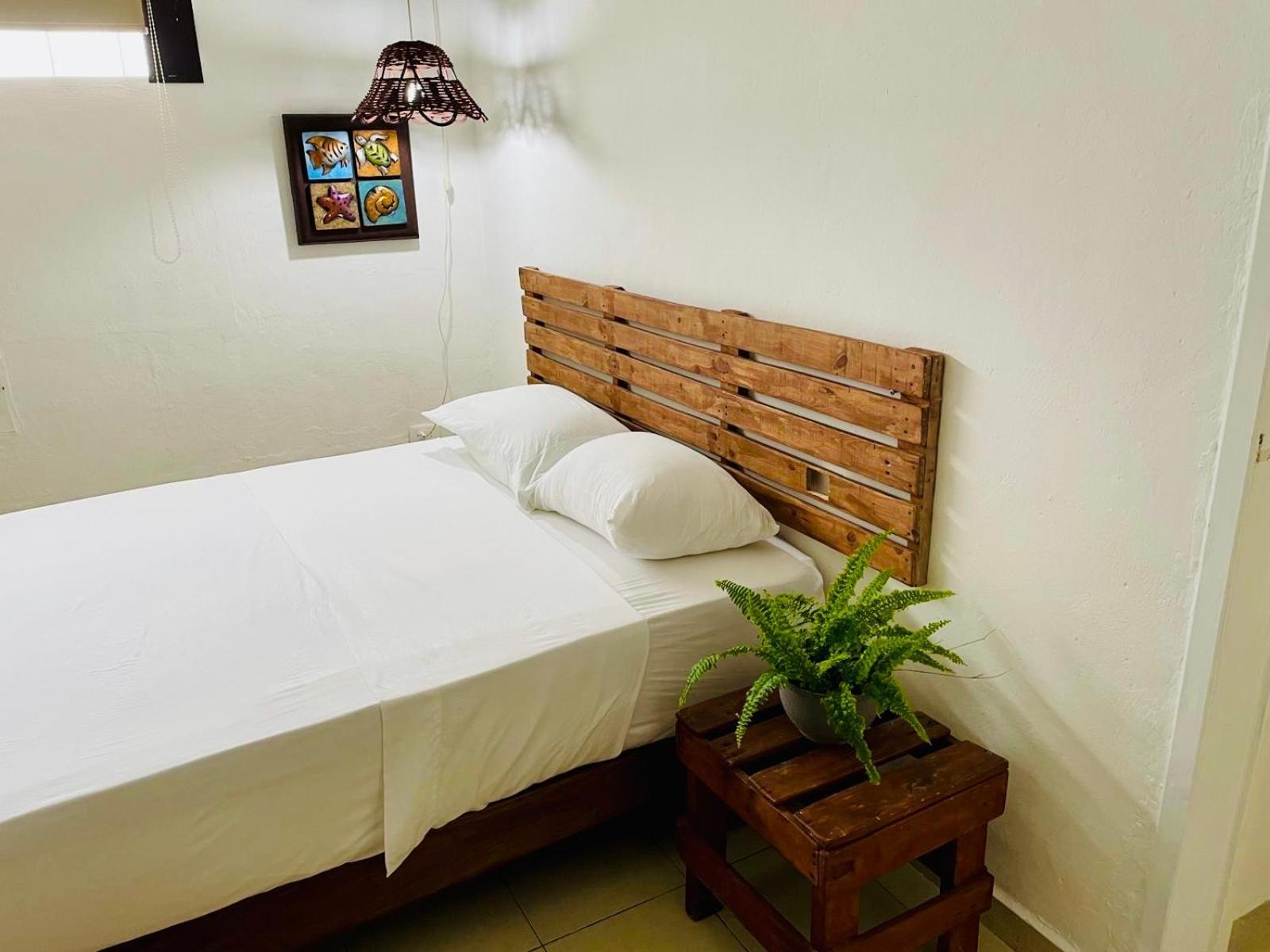 Caribo Cozumel Otel Dış mekan fotoğraf