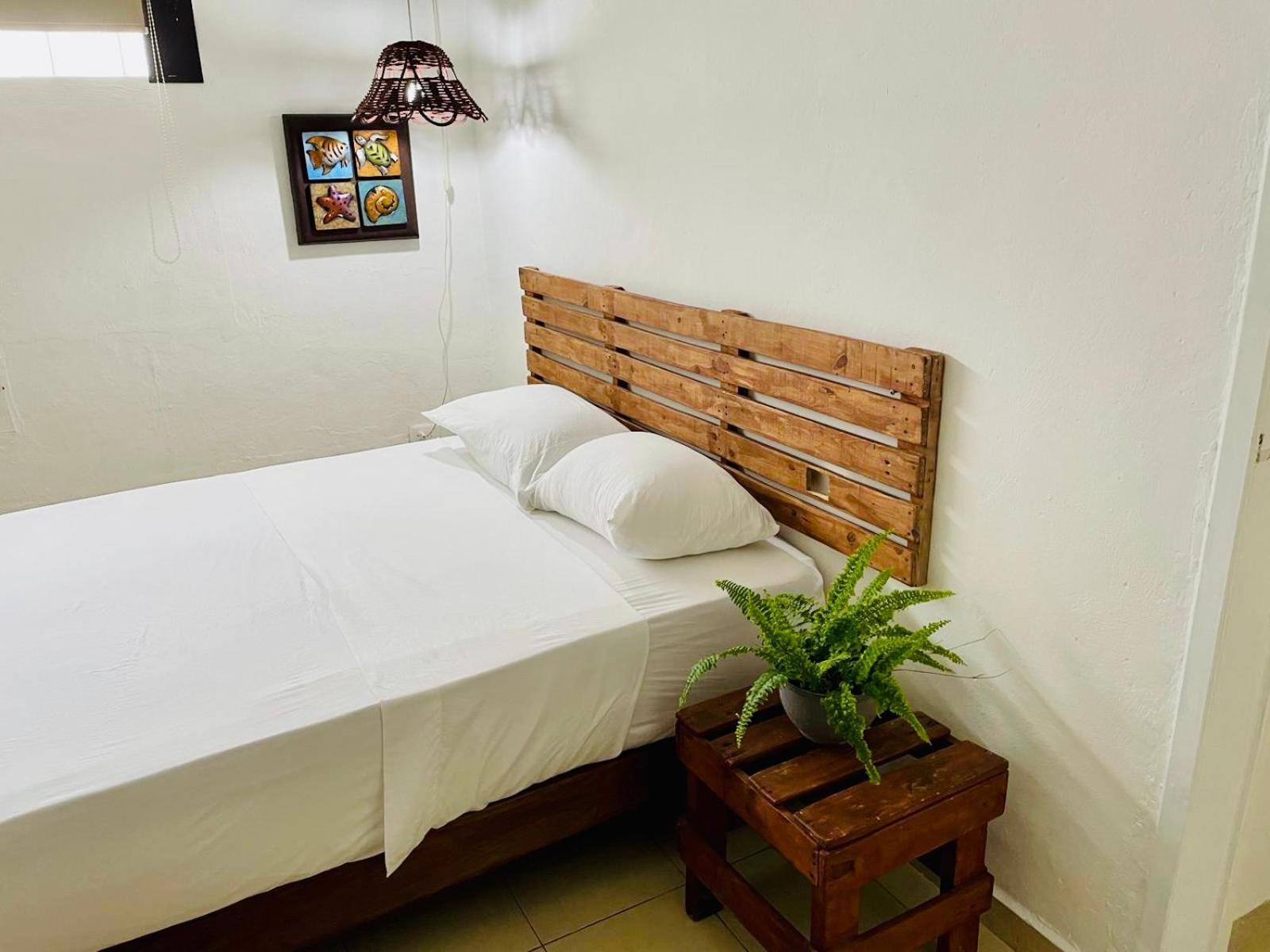 Caribo Cozumel Otel Dış mekan fotoğraf
