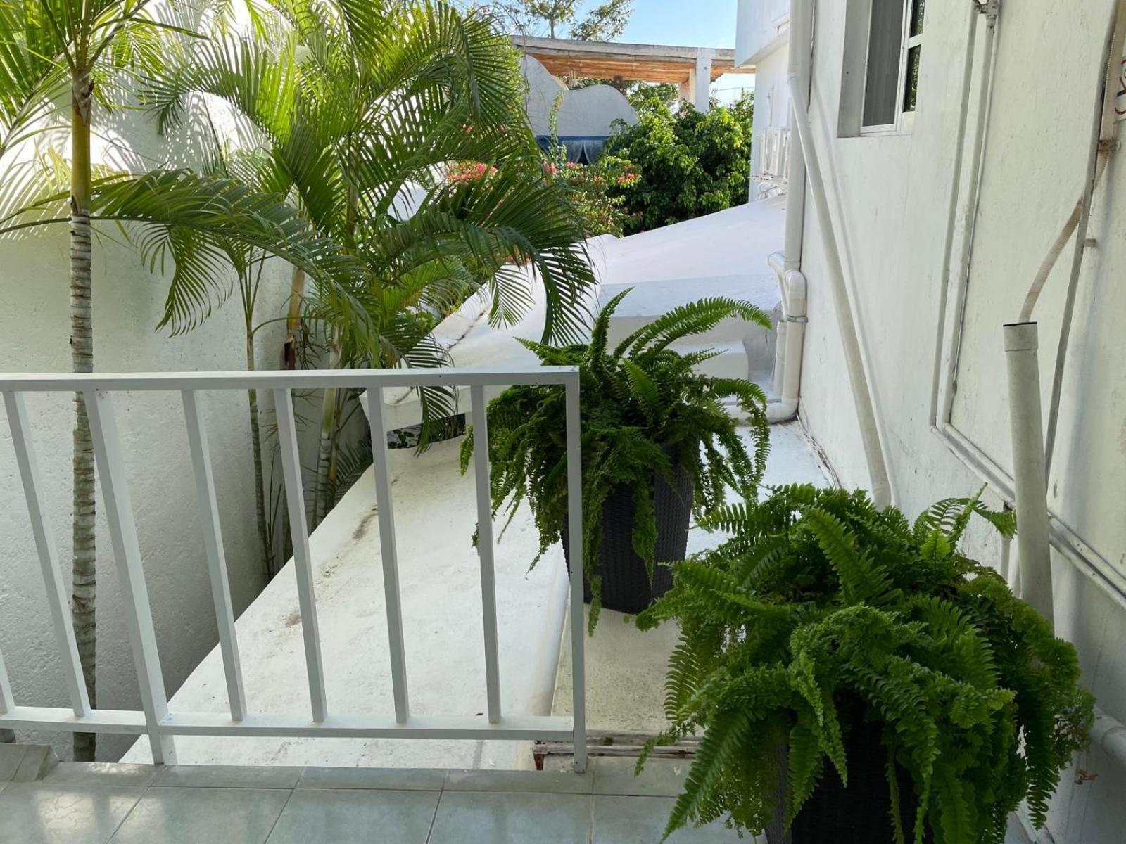 Caribo Cozumel Otel Dış mekan fotoğraf
